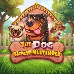 The Dog House Multihold game at Cocoa Casino for United Kingdom players The Dog House Multihold game at Cocoa Casino for United Kingdom players